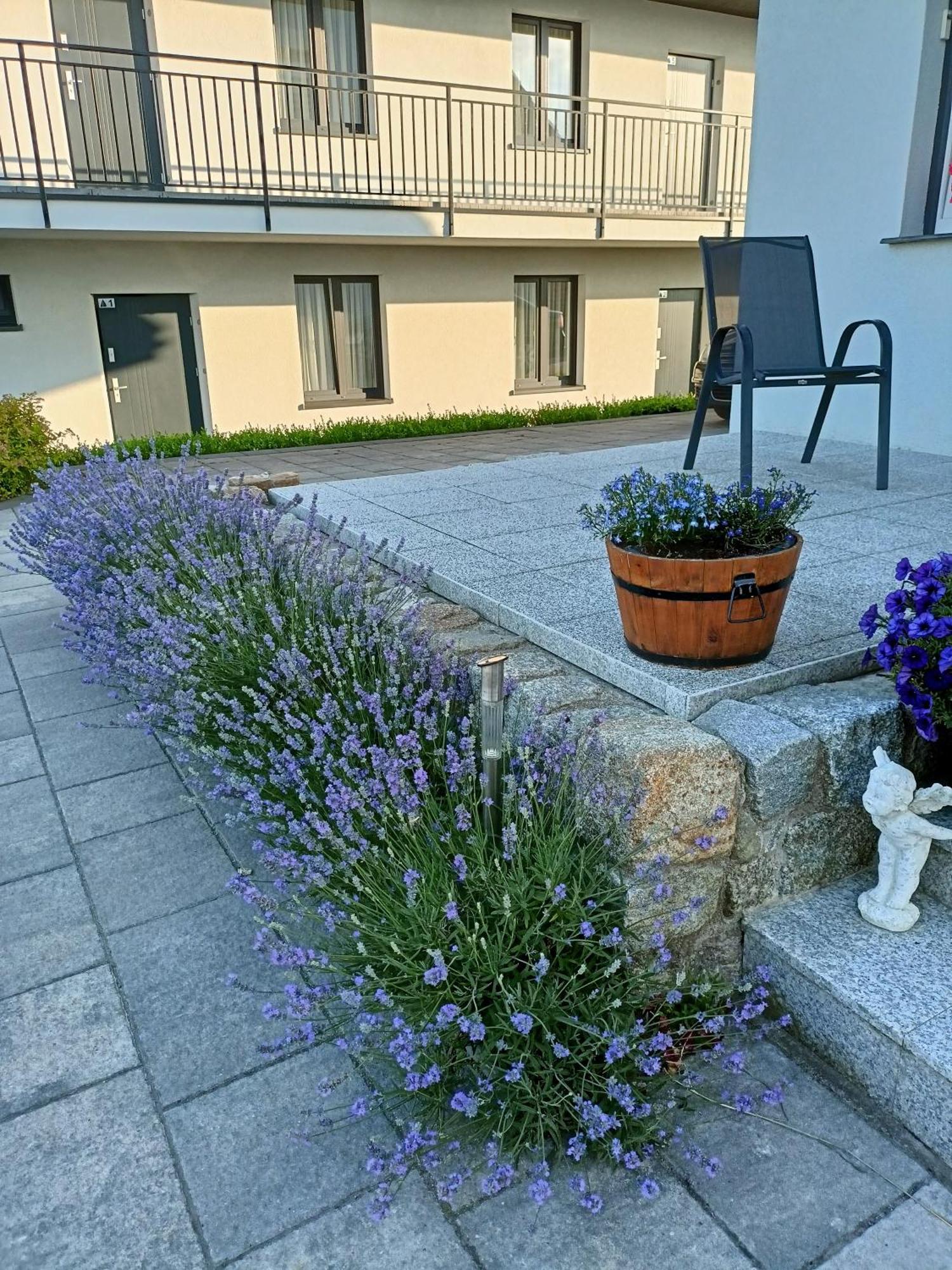 Apartamenty Jasienczyk 미엘렌코 외부 사진